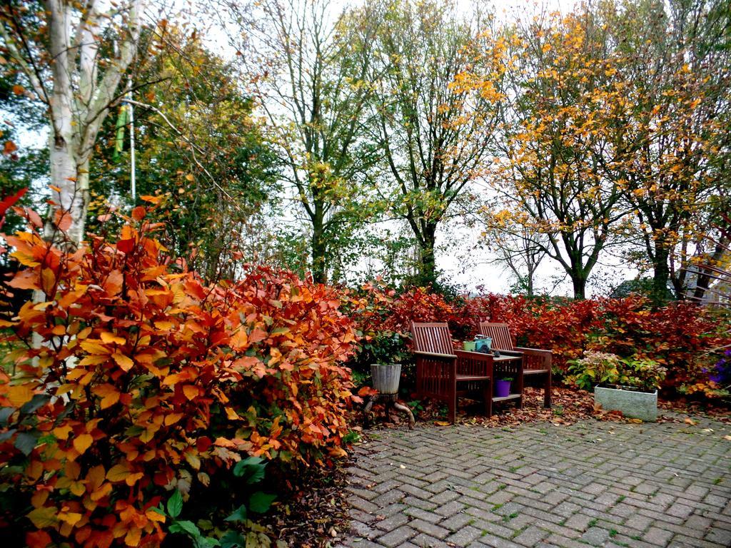 Bed En Breakfast De Pauw Wieringerwaard Eksteriør bilde