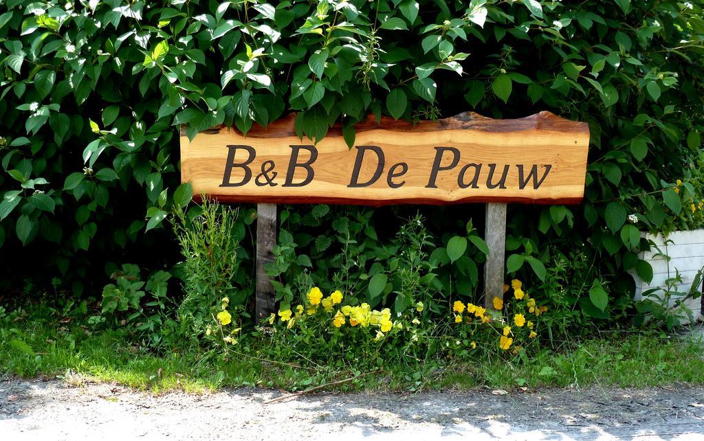 Bed En Breakfast De Pauw Wieringerwaard Rom bilde