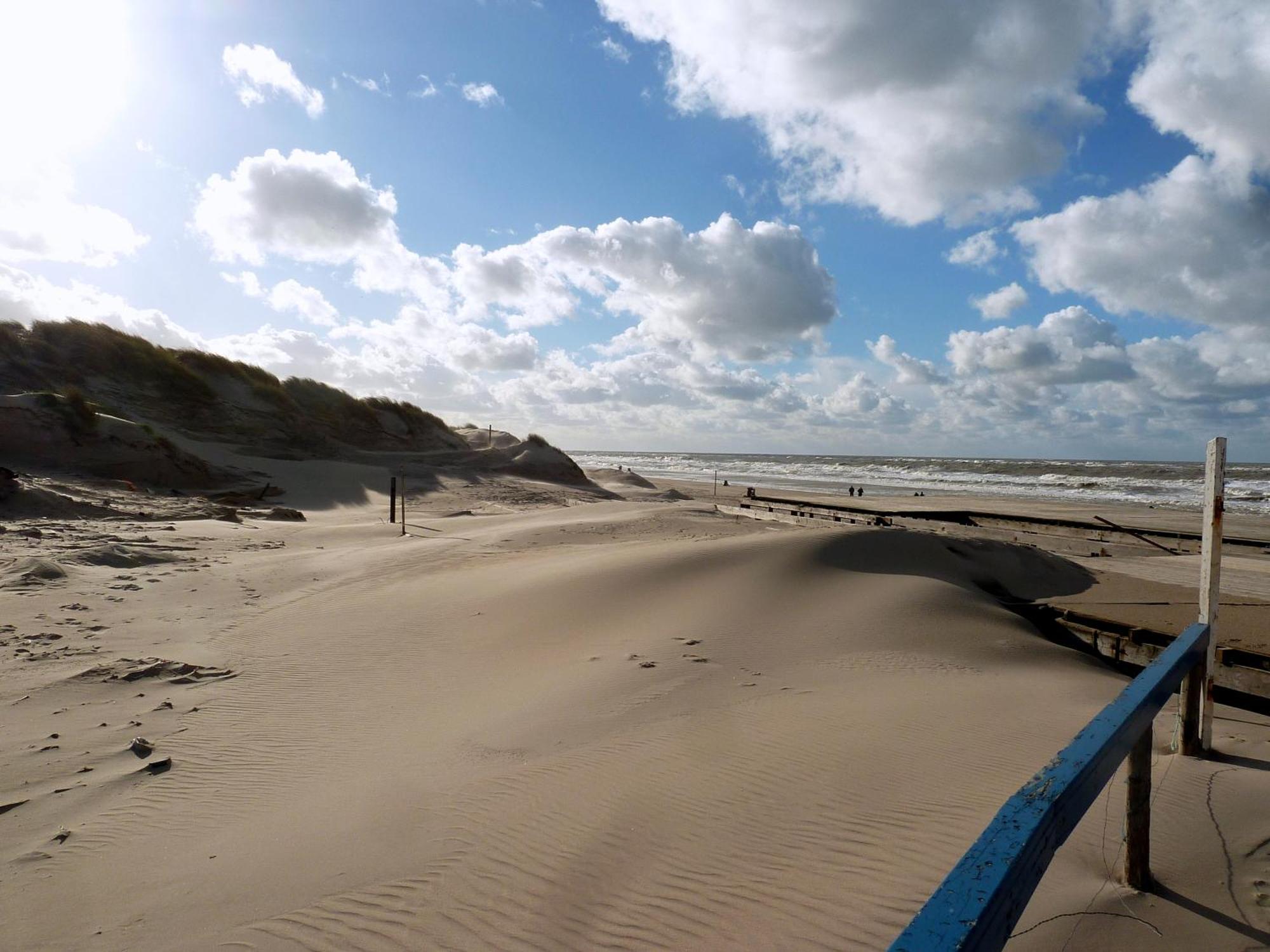 Bed En Breakfast De Pauw Wieringerwaard Eksteriør bilde
