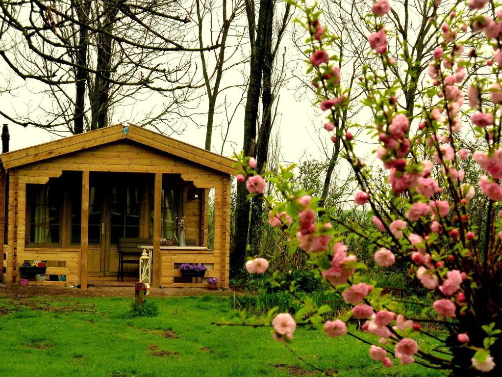 Bed En Breakfast De Pauw Wieringerwaard Rom bilde